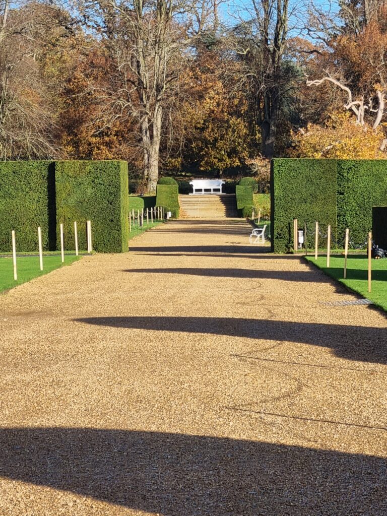 Gravel path and clipped yew hedge