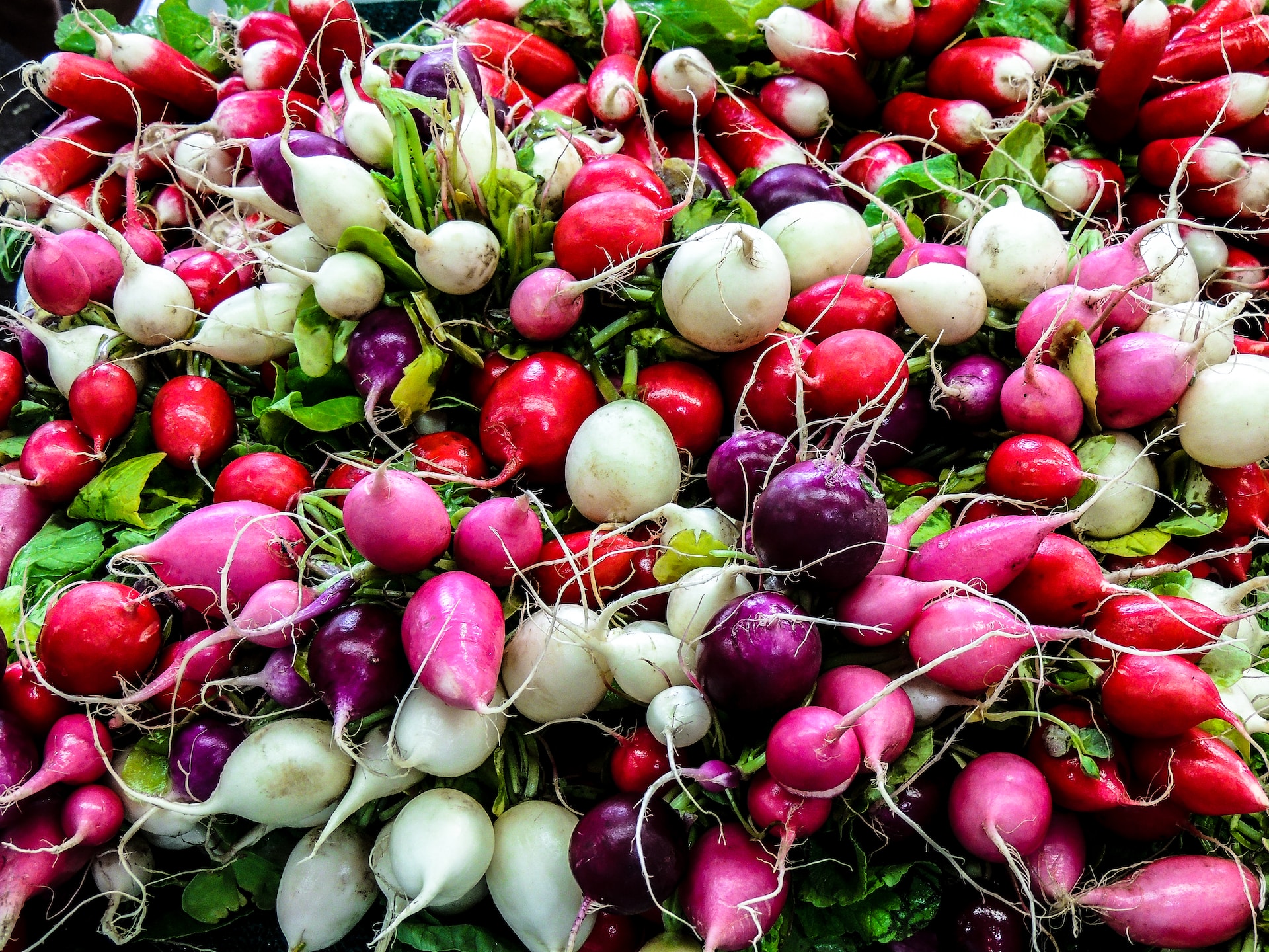 Radishes